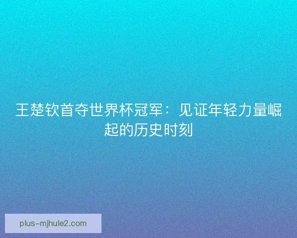 王楚钦首夺世界杯冠军：见证年轻力量崛起的历史时刻