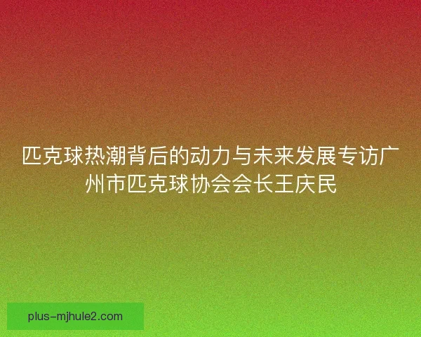 匹克球热潮背后的动力与未来发展专访广州市匹克球协会会长王庆民 匹克球热潮背后的动力与未来发展专访广州市匹克球协会会长王庆民